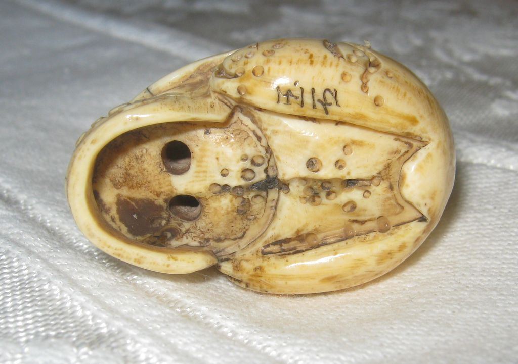 Netsuke in the Form of Human Skull w/Frog - Signed Netsuke in the Form of Human Skull w/Frog - Signed