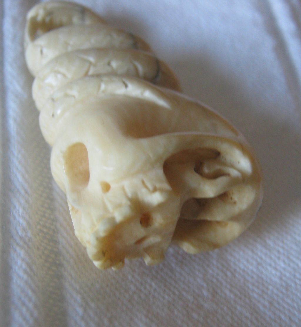 Carved Netsuke in the Form of a Skull and Snake - Signed Carved Netsuke in the Form of a Skull and Snake - Signed