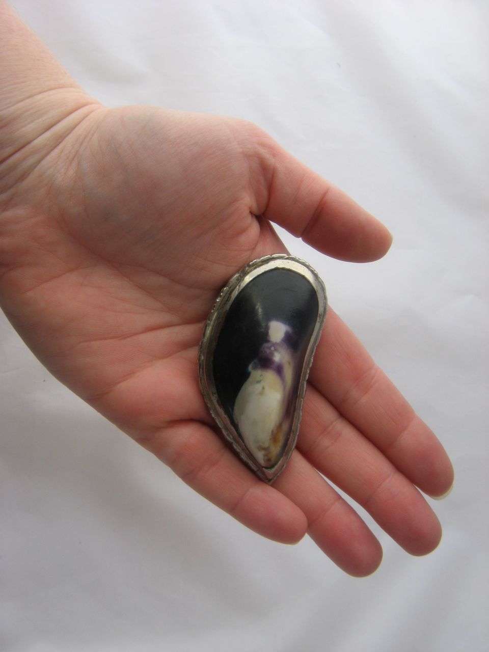 Late 1800s Silver Plated Mussel Shell Snuff Box Late 1800s Silver Plated Mussel Shell Snuff Box