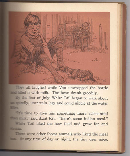 'White Tail King of the Forest' Hard Back Children's Book 1938 first edition 'White Tail King of the Forest' Hard Back Children's Book 1938 first edition