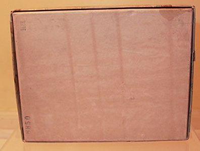 Viscoloid Celluloid Child Plays with Dog Baby Rattle in Box Hickory Viscoloid Celluloid Child Plays with Dog Baby Rattle in Box Hickory