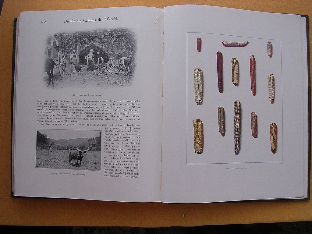 1906 Illustrated Dutch Book 'De Groote Cultures Der Weld' 1906 Illustrated Dutch Book 'De Groote Cultures Der Weld'