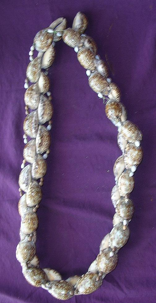 Lovely COWRIE SHELL Necklace From Papua New Guinea Lovely COWRIE SHELL Necklace From Papua New Guinea