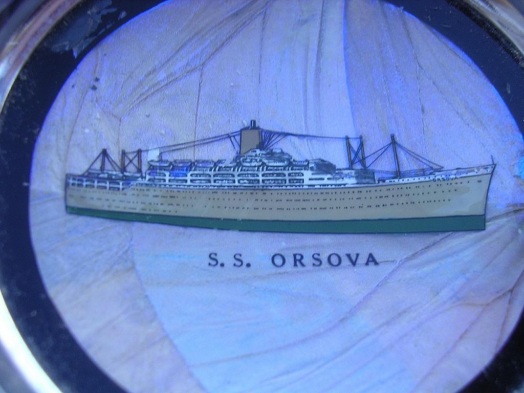 S.S. ORSOVA - Orient Line - Souvenir Butterfly Wings Ashtray S.S. ORSOVA - Orient Line - Souvenir Butterfly Wings Ashtray