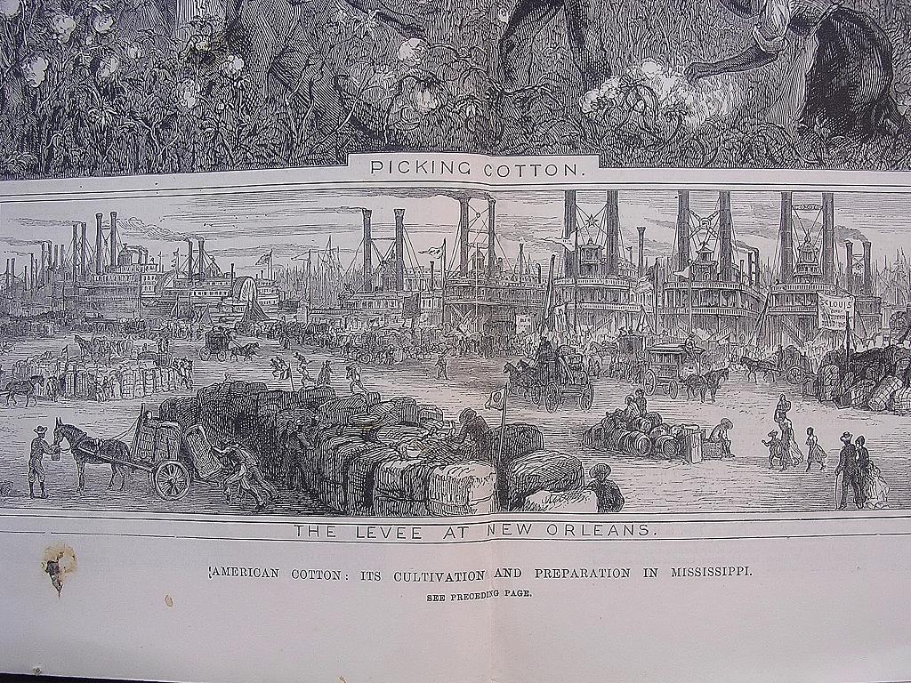 'AMERICAN COTTON: Its Cultivation And Preparation In Mississippi' - Illustrated London News Sept. 24 1881 'AMERICAN COTTON: Its Cultivation And Preparation In Mississippi' - Illustrated London News Sept. 24 1881