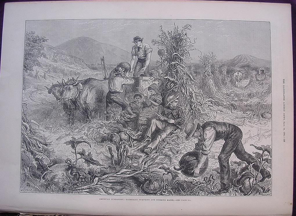 'AMERICAN HUSBANDRY: Gathering Pumpkins And Husking Maize' - Illustrated London News Sept. 24 1881 'AMERICAN HUSBANDRY: Gathering Pumpkins And Husking Maize' - Illustrated London News Sept. 24 1881