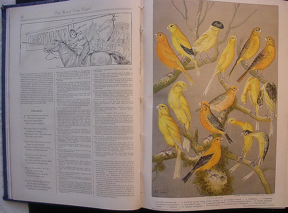 BOYS Own Paper Annual XIV - 1891-1892 BOYS Own Paper Annual XIV - 1891-1892