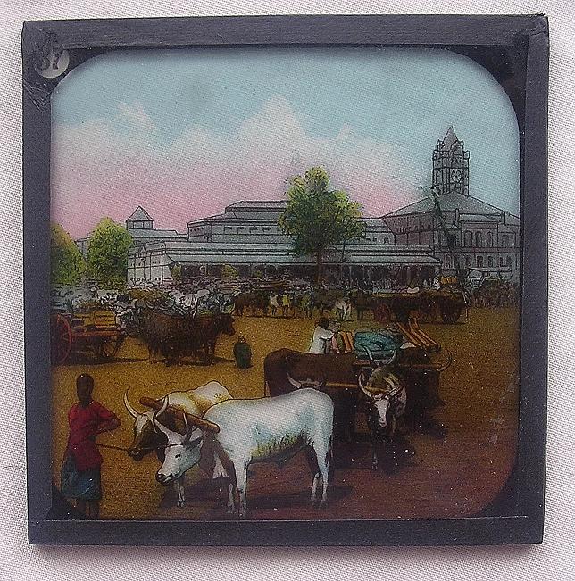 VICTORIAN Primus Lantern Slides Of The Cape Colony VICTORIAN Primus Lantern Slides Of The Cape Colony