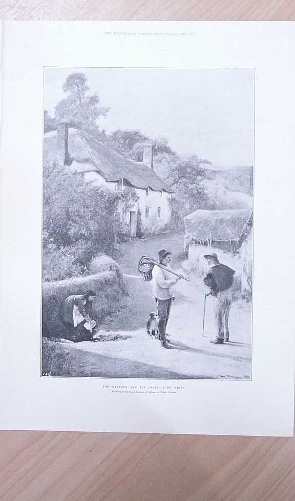Full Page Illustrated London News 1895 "The Weather & The Crops" Full Page Illustrated London News 1895 "The Weather & The Crops"