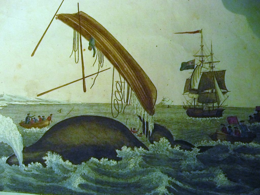 A French Antique Engraving of Whale Hunting Circa 1800 A French Antique Engraving of Whale Hunting Circa 1800