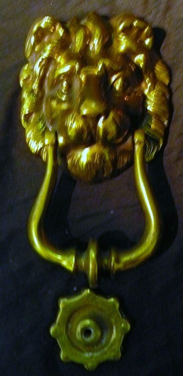 Big LION Face Door Knocker Big LION Face Door Knocker