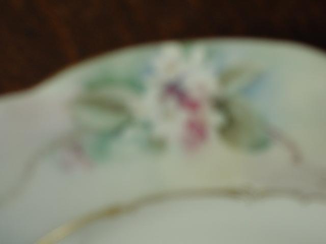 Pair of Decorative ART NOUVEAU C.T. Carl Tielsch GERMAN Porcelain Victorian Plates with Flowers Signed Halbert 1908 Pair of Decorative ART NOUVEAU C.T. Carl Tielsch GERMAN Porcelain Victorian Plates with Flowers Signed Halbert 1908