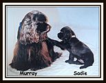 Mur-Sadie's Jewelry Mur-Sadie's Jewelry