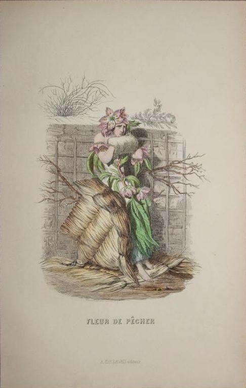 Wonderful Antique French Engraving 'Fleur de Pecher' by Grandville 1852. Wonderful Antique French Engraving 'Fleur de Pecher' by Grandville 1852.