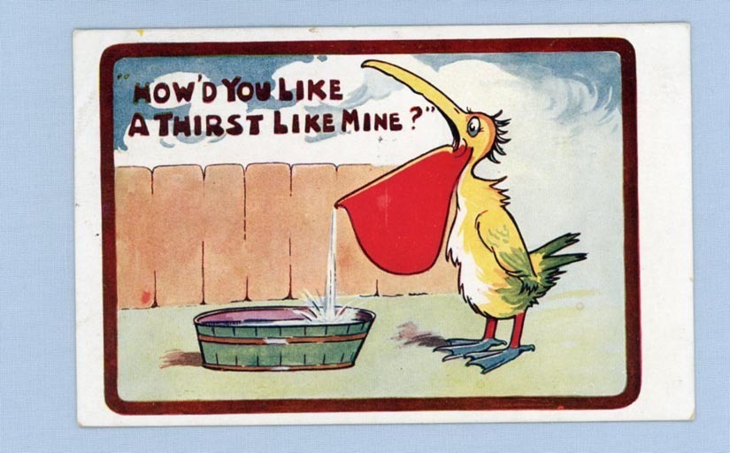 Cute Postcard - Colorful Cartoon Pelican with Tub of Water – 1912 Cute Postcard - Colorful Cartoon Pelican with Tub of Water – 1912