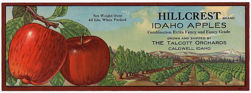 Vintage Fruit Crate Label - Hillcrest Apples with Great Graphics Vintage Fruit Crate Label - Hillcrest Apples with Great Graphics