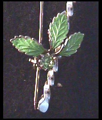 Spring Has Sprung...Amethyst Rhinestone & Baroque Pearl Flower Pin Spring Has Sprung...Amethyst Rhinestone & Baroque Pearl Flower Pin