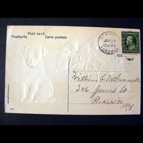 Adorable Embossed Dogs in Cart Vintage Post Card Adorable Embossed Dogs in Cart Vintage Post Card