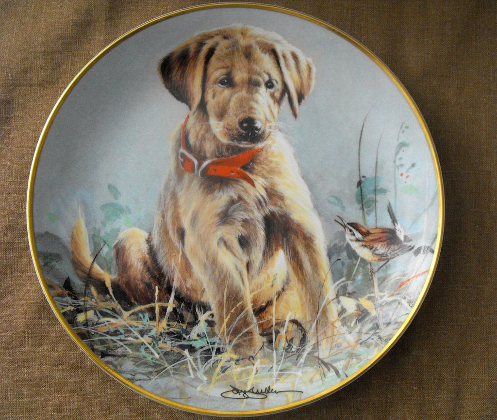 Franklin Mint Heirloom Recommendation: Eye to Eye Franklin Mint Heirloom Recommendation: Eye to Eye