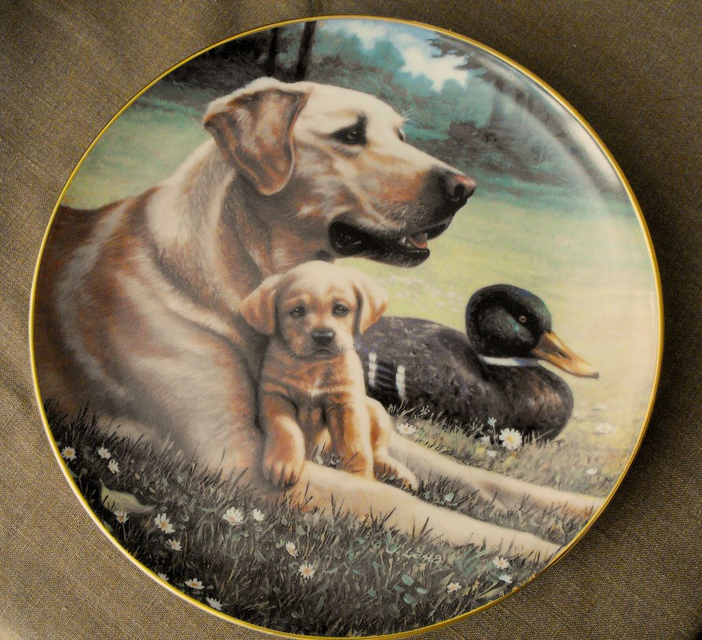 Hamilton Collection: A Sporting Generation: Like Father Like Son: Golden Retrievers: From 1991 Hamilton Collection: A Sporting Generation: Like Father Like Son: Golden Retrievers: From 1991
