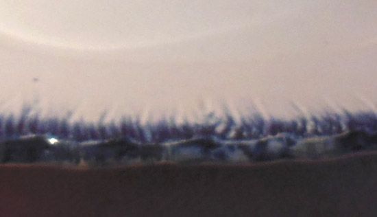 1800's Rectangular Blue Feather Edge Platter 1800's Rectangular Blue Feather Edge Platter