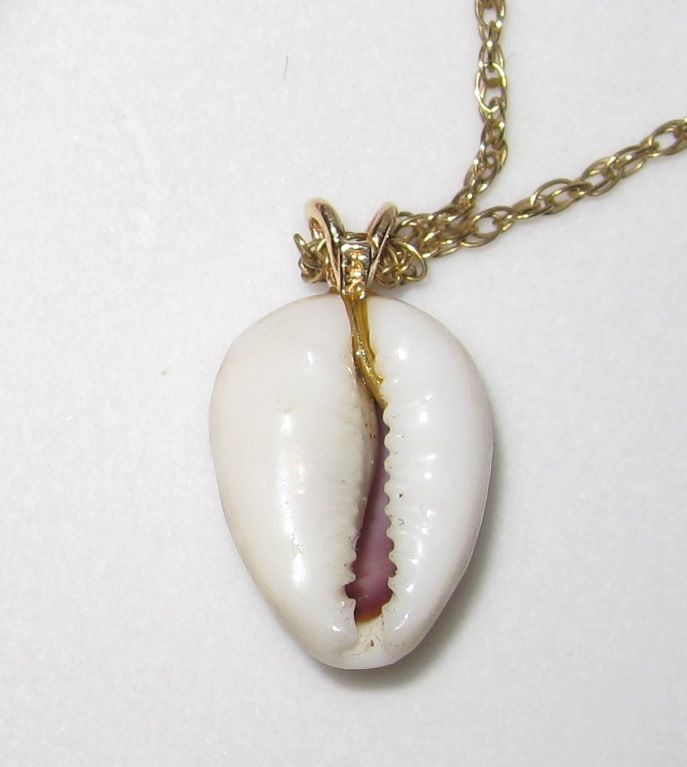 Vintage Cameo Carved Cowry Shell Pendant Vintage Cameo Carved Cowry Shell Pendant