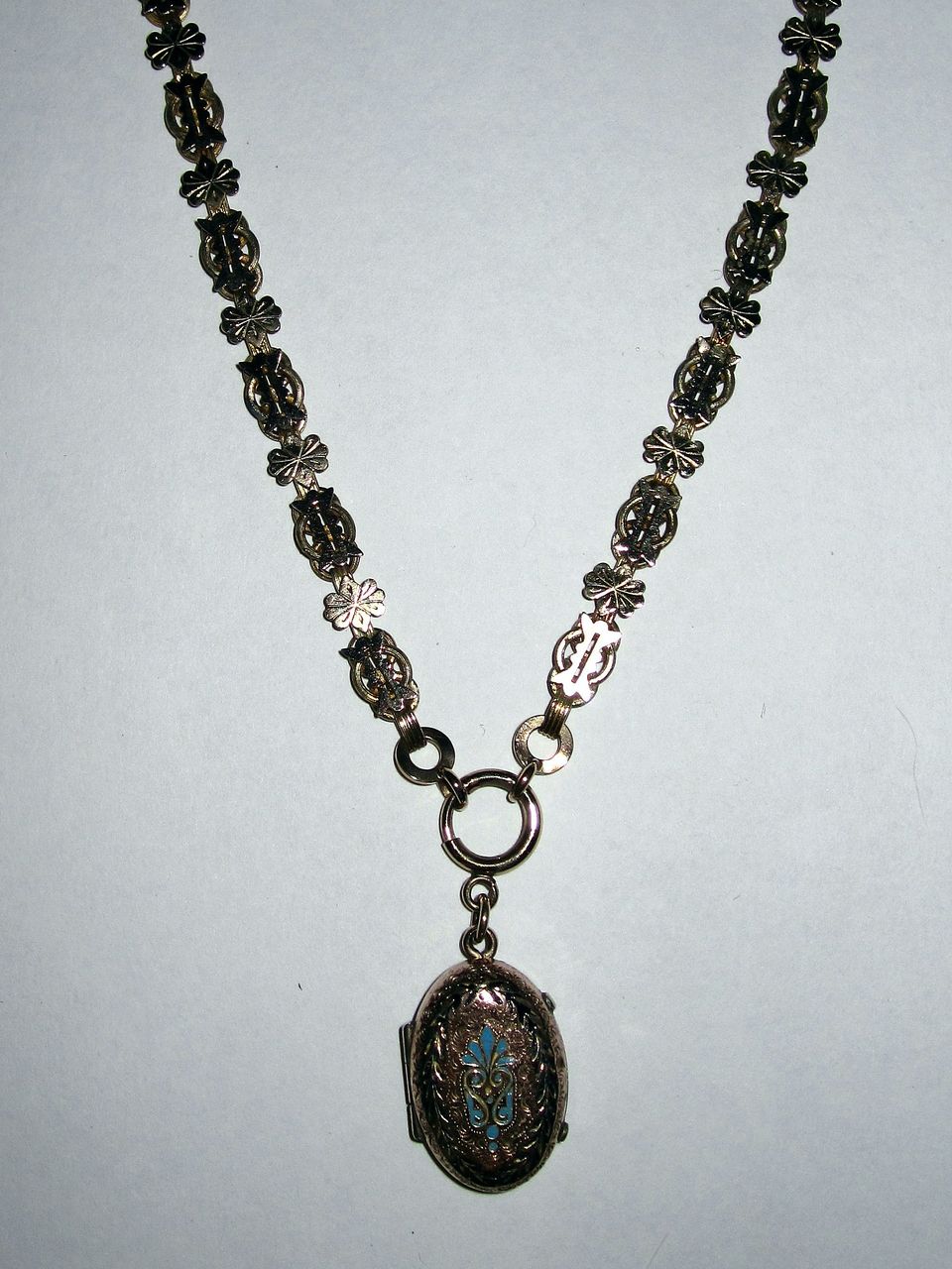 Victorian Locket Enamelled On Fancy Book Chain Victorian Locket Enamelled On Fancy Book Chain