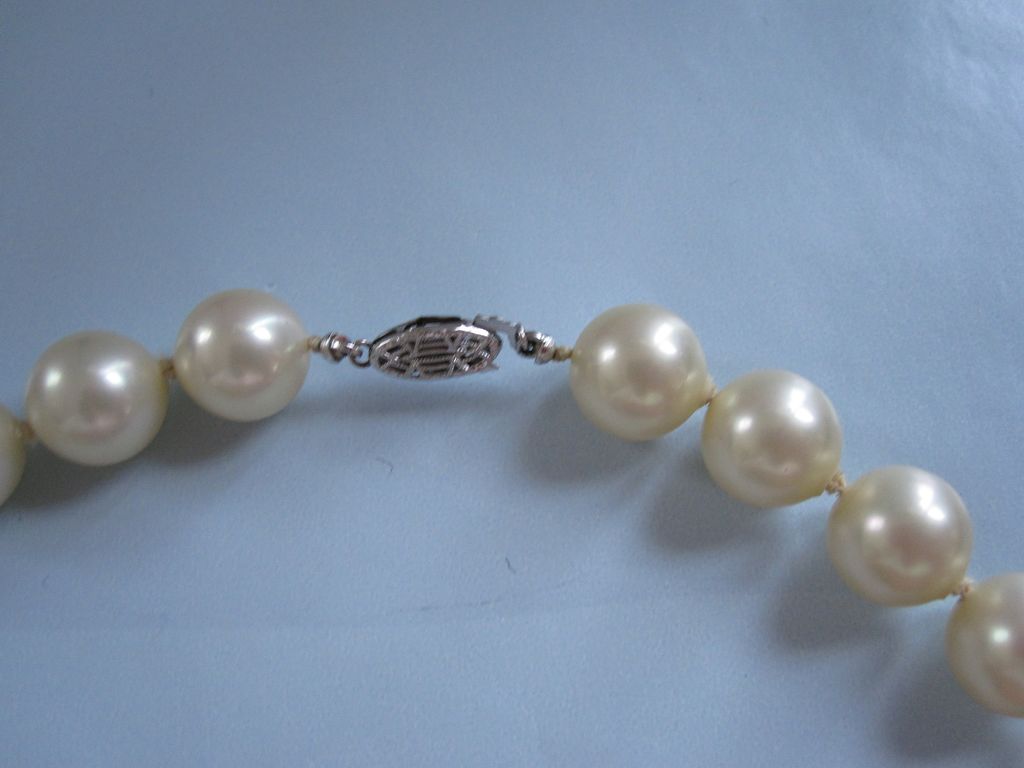 Vintage Majorica Pearl Choker Fit for a Bride Vintage Majorica Pearl Choker Fit for a Bride