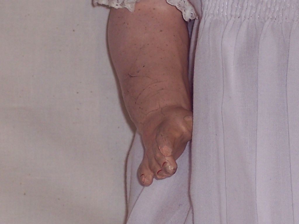 Ernst Heubach - German Bisque Doll – Early 1900's Ernst Heubach - German Bisque Doll – Early 1900's