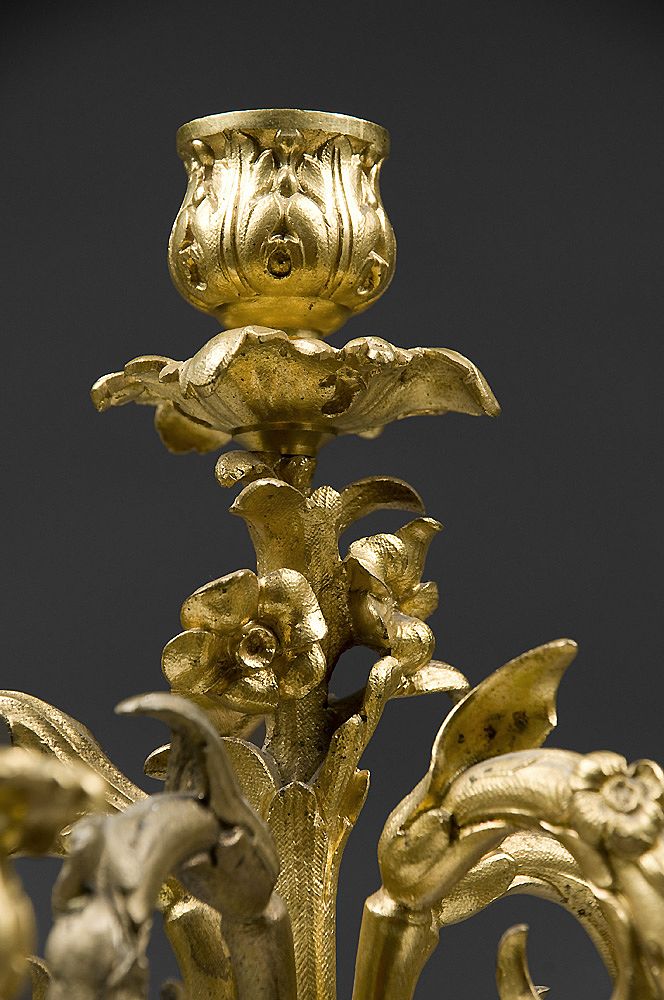Pair of French Rococo Louis XV Patinated Dore Bronze Candelabras Pair of French Rococo Louis XV Patinated Dore Bronze Candelabras