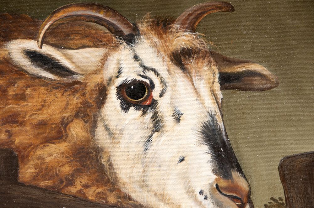 Oil On Canvas of Ram by Amos Shontz Oil On Canvas of Ram by Amos Shontz