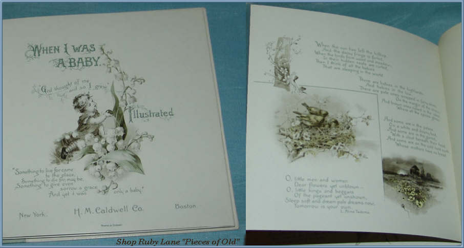 Precious Victorian Baby Memory Book, Unused, Beautiful Illustrations! Precious Victorian Baby Memory Book, Unused, Beautiful Illustrations!