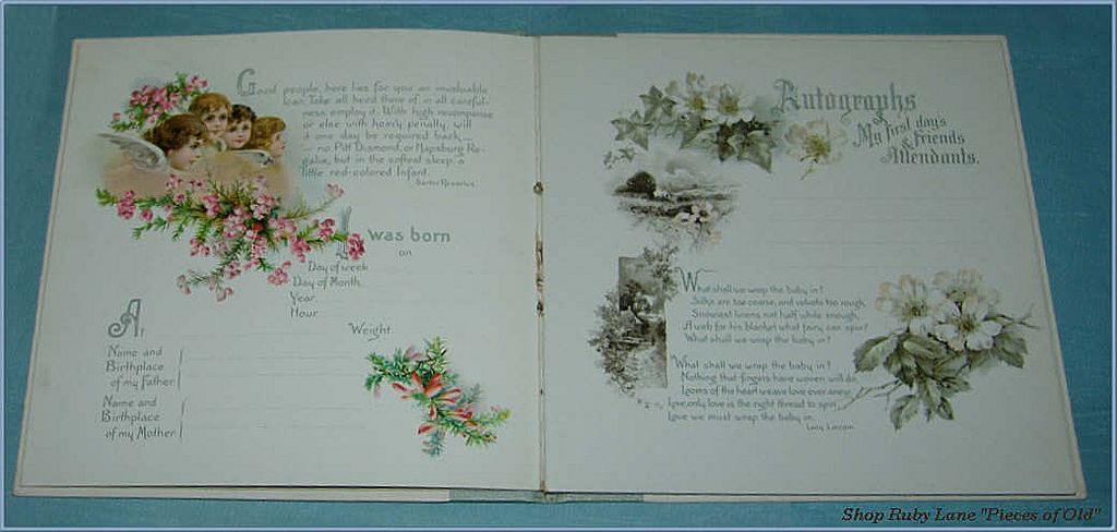 Precious Victorian Baby Memory Book, Unused, Beautiful Illustrations! Precious Victorian Baby Memory Book, Unused, Beautiful Illustrations!