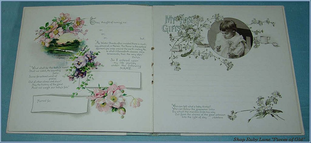 Precious Victorian Baby Memory Book, Unused, Beautiful Illustrations! Precious Victorian Baby Memory Book, Unused, Beautiful Illustrations!