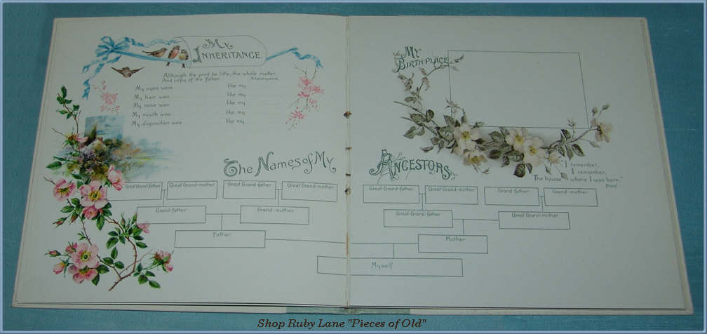 Precious Victorian Baby Memory Book, Unused, Beautiful Illustrations! Precious Victorian Baby Memory Book, Unused, Beautiful Illustrations!