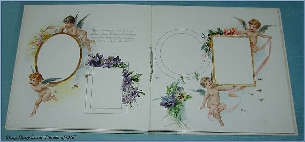 Precious Victorian Baby Memory Book, Unused, Beautiful Illustrations! Precious Victorian Baby Memory Book, Unused, Beautiful Illustrations!