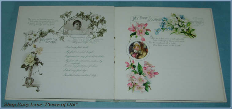 Precious Victorian Baby Memory Book, Unused, Beautiful Illustrations! Precious Victorian Baby Memory Book, Unused, Beautiful Illustrations!