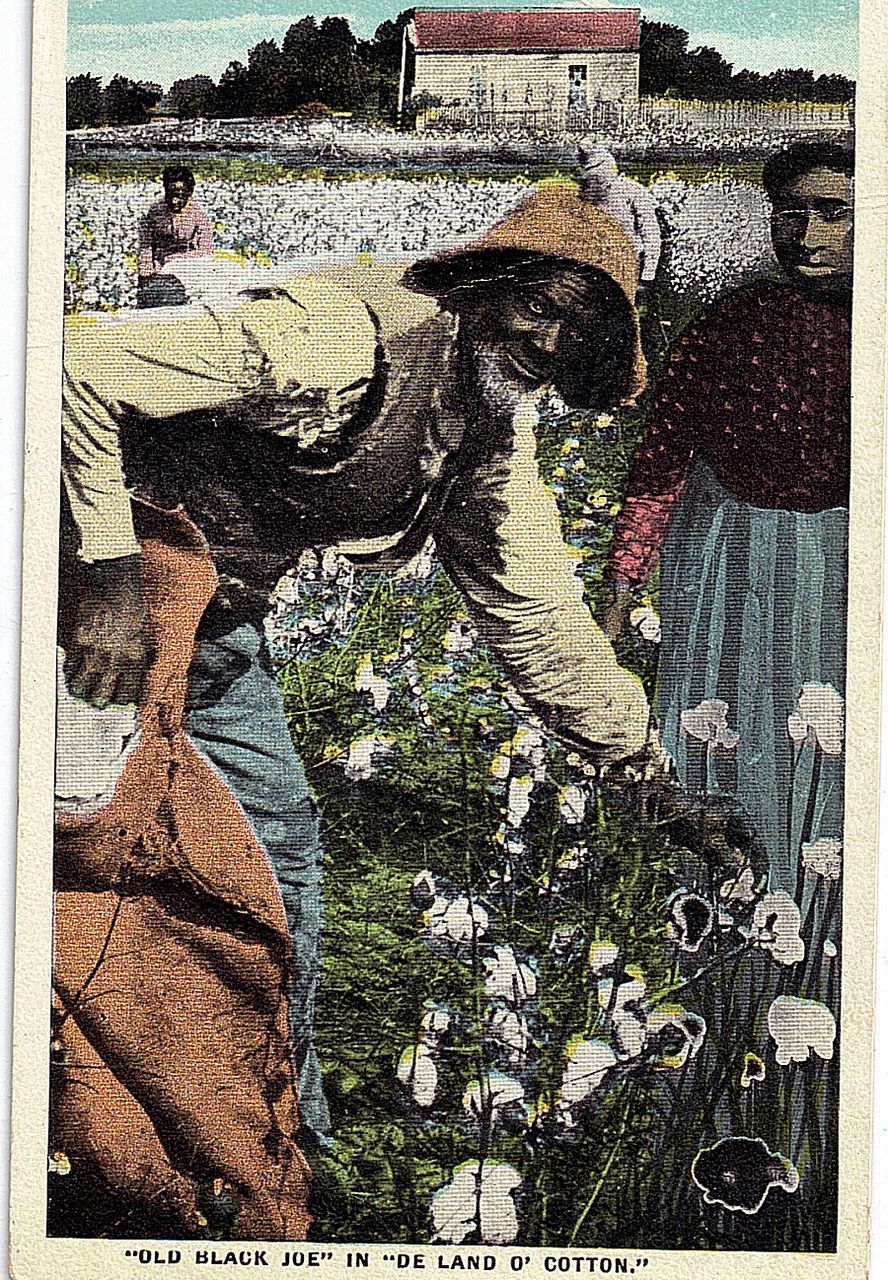 Black Americana Postcard Old Black Joe In De Land O' Cotton Black Americana Postcard Old Black Joe In De Land O' Cotton