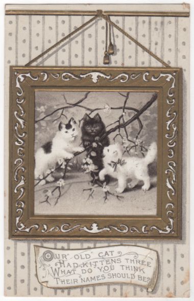 Greetings Vintage Postcard Three Kittens Playing with a Tree Branch Greetings Vintage Postcard Three Kittens Playing with a Tree Branch