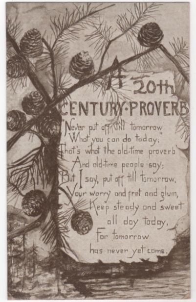 Greetings Vintage Postcard 20th Century Proverb Pine Needles and Cones Greetings Vintage Postcard 20th Century Proverb Pine Needles and Cones