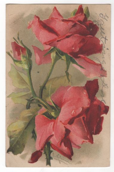 Artist Signed Unreadable Name Red Roses Vintage Postcard Artist Signed Unreadable Name Red Roses Vintage Postcard