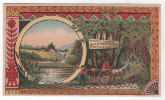 Dr Kilmer's Swamp Root Kidney Liver & Bladder Cure Victorian Trade Card Dr Kilmer's Swamp Root Kidney Liver & Bladder Cure Victorian Trade Card