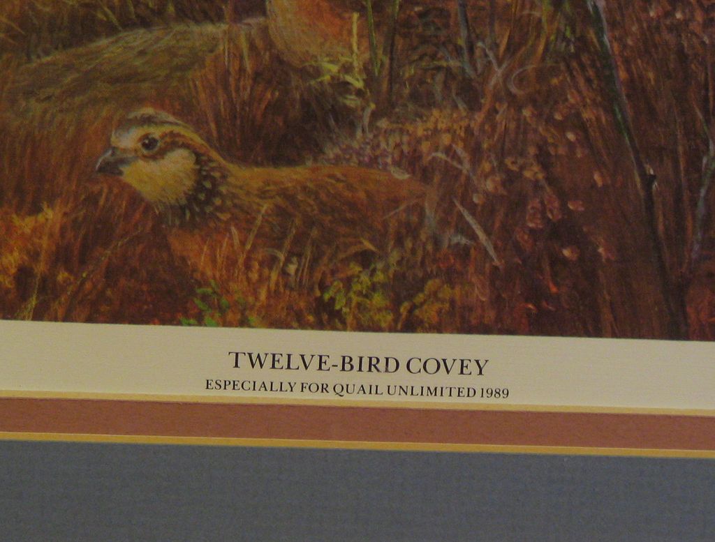 Twelve Bird Covey Limited Edition Print Twelve Bird Covey Limited Edition Print