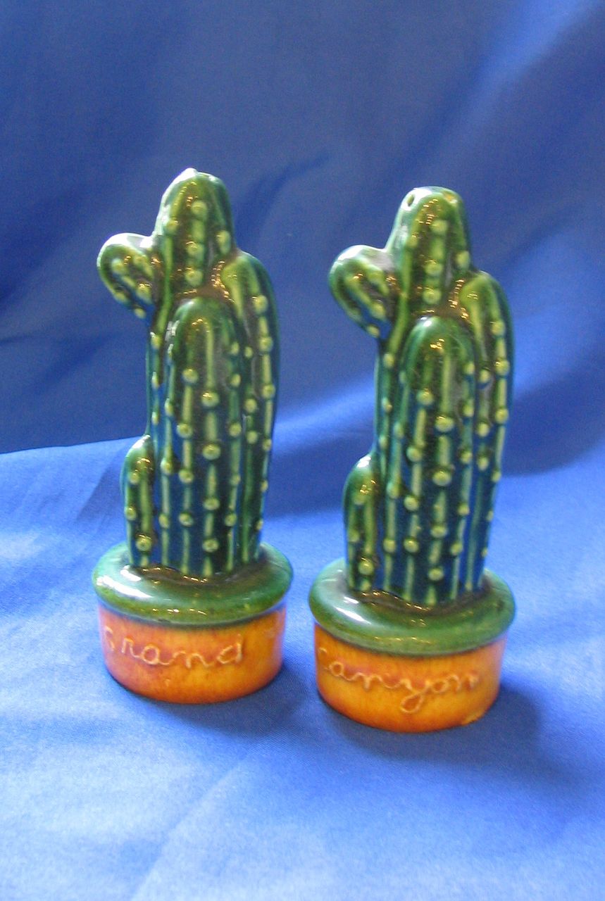 Ceramic Cacti Salt and Pepper Shakers Ceramic Cacti Salt and Pepper Shakers