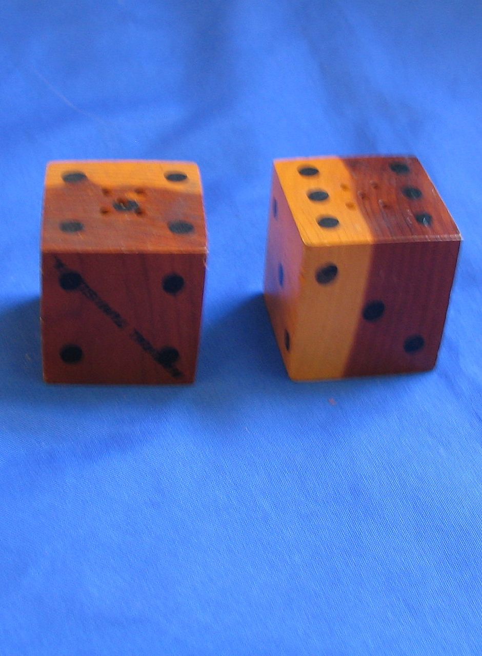 Wooden Dice Salt and Pepper Shakers Natural Tunnel VA Wooden Dice Salt and Pepper Shakers Natural Tunnel VA