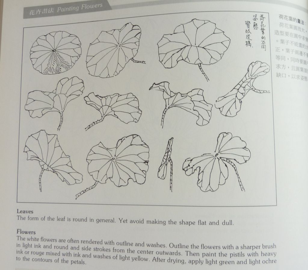 Painting Flowers by Pao0min Jia 1990 First Edition Painting Flowers by Pao0min Jia 1990 First Edition