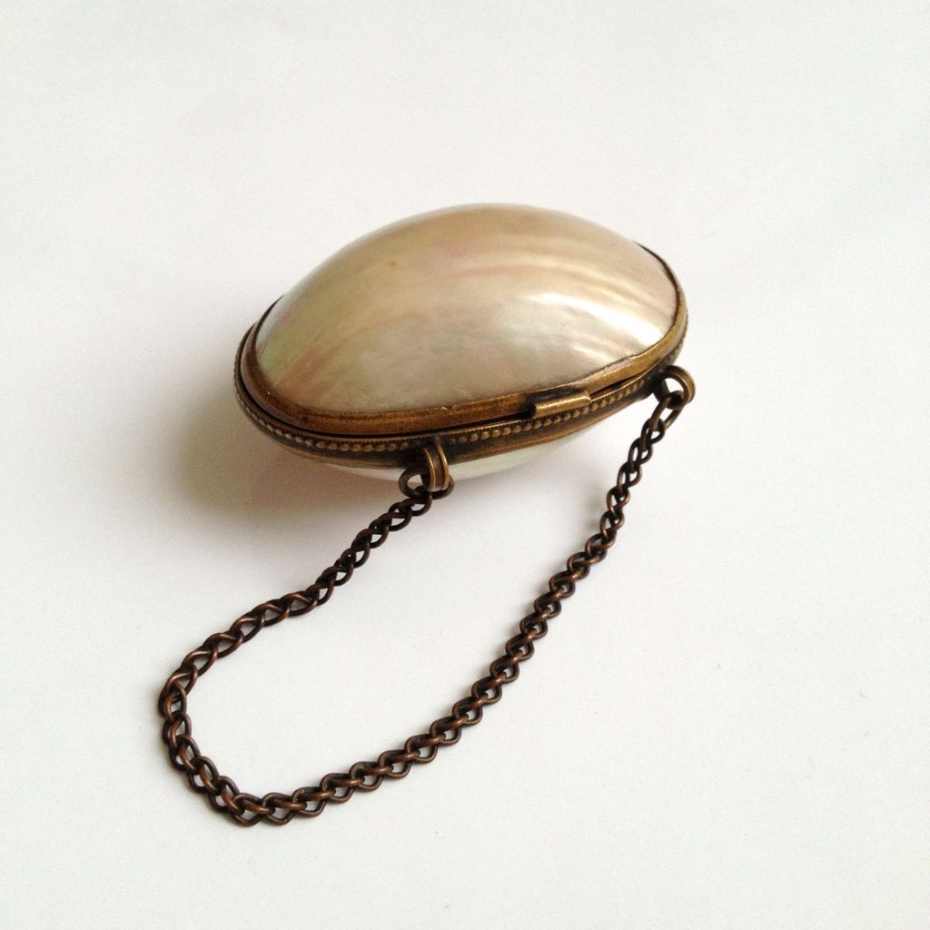 Antique Shell Childs Change Purse with Original Brass Chain Handle Antique Shell Childs Change Purse with Original Brass Chain Handle