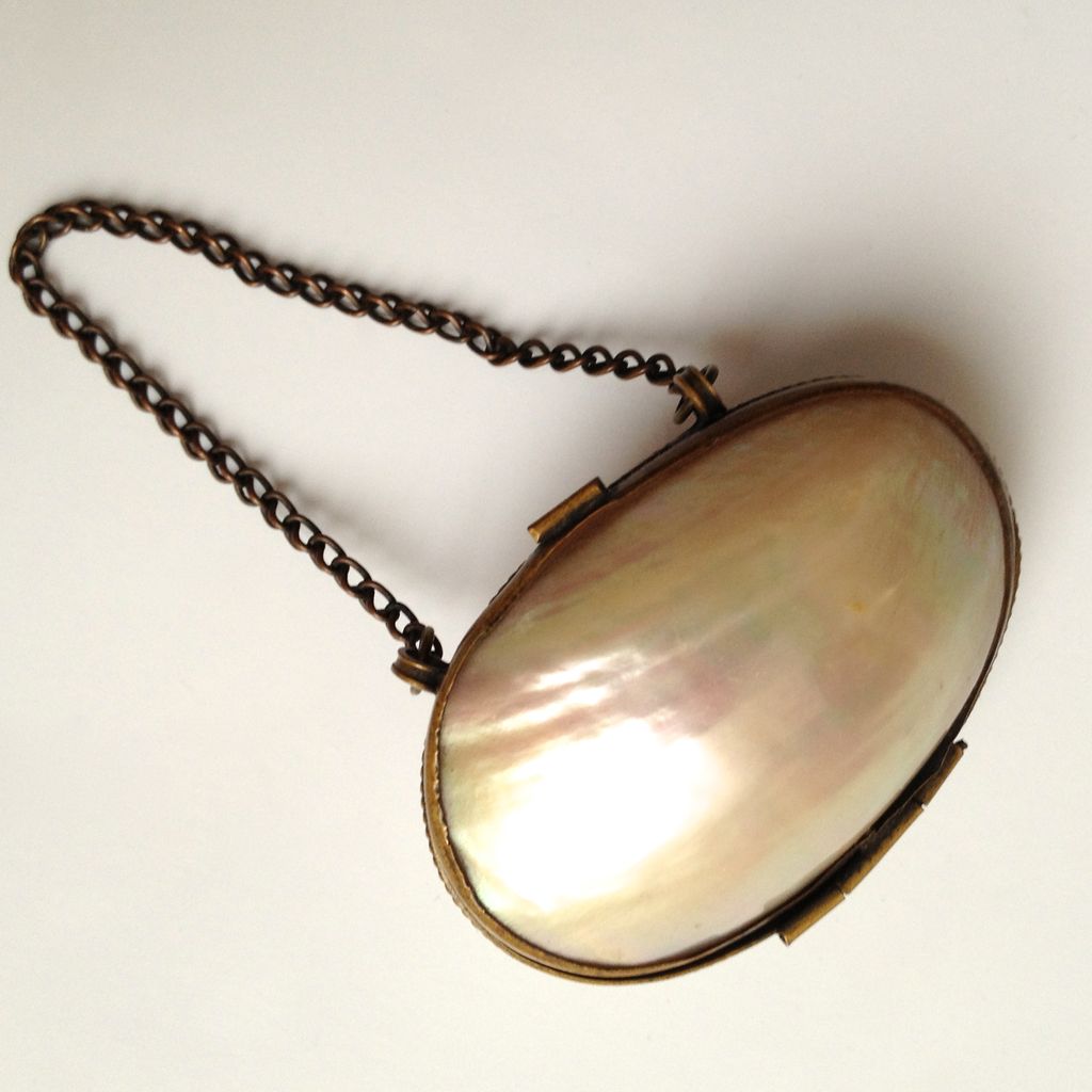 Antique Shell Childs Change Purse with Original Brass Chain Handle Antique Shell Childs Change Purse with Original Brass Chain Handle