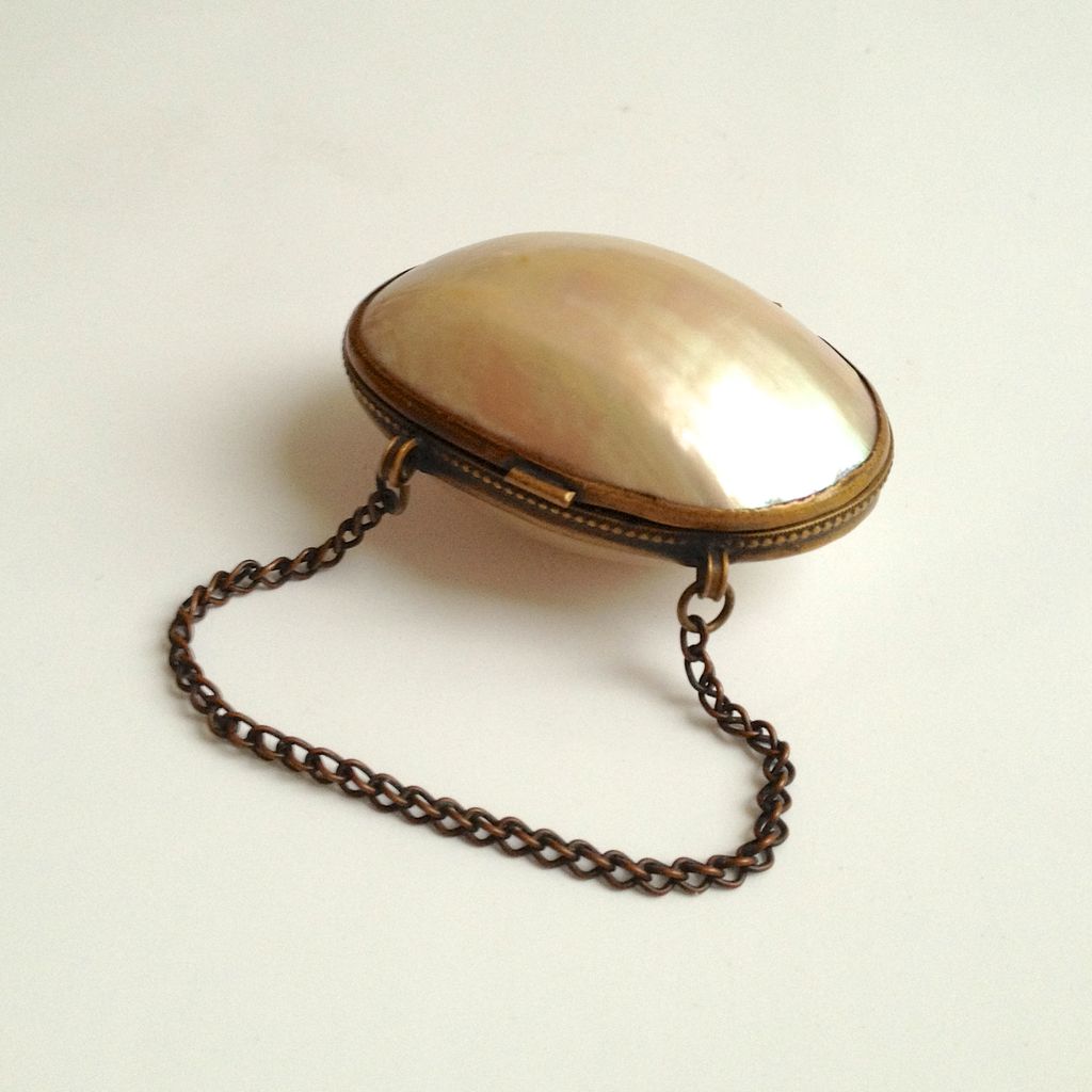 Antique Shell Childs Change Purse with Original Brass Chain Handle Antique Shell Childs Change Purse with Original Brass Chain Handle