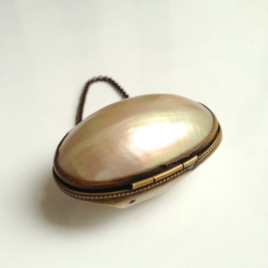 Antique Shell Childs Change Purse with Original Brass Chain Handle Antique Shell Childs Change Purse with Original Brass Chain Handle